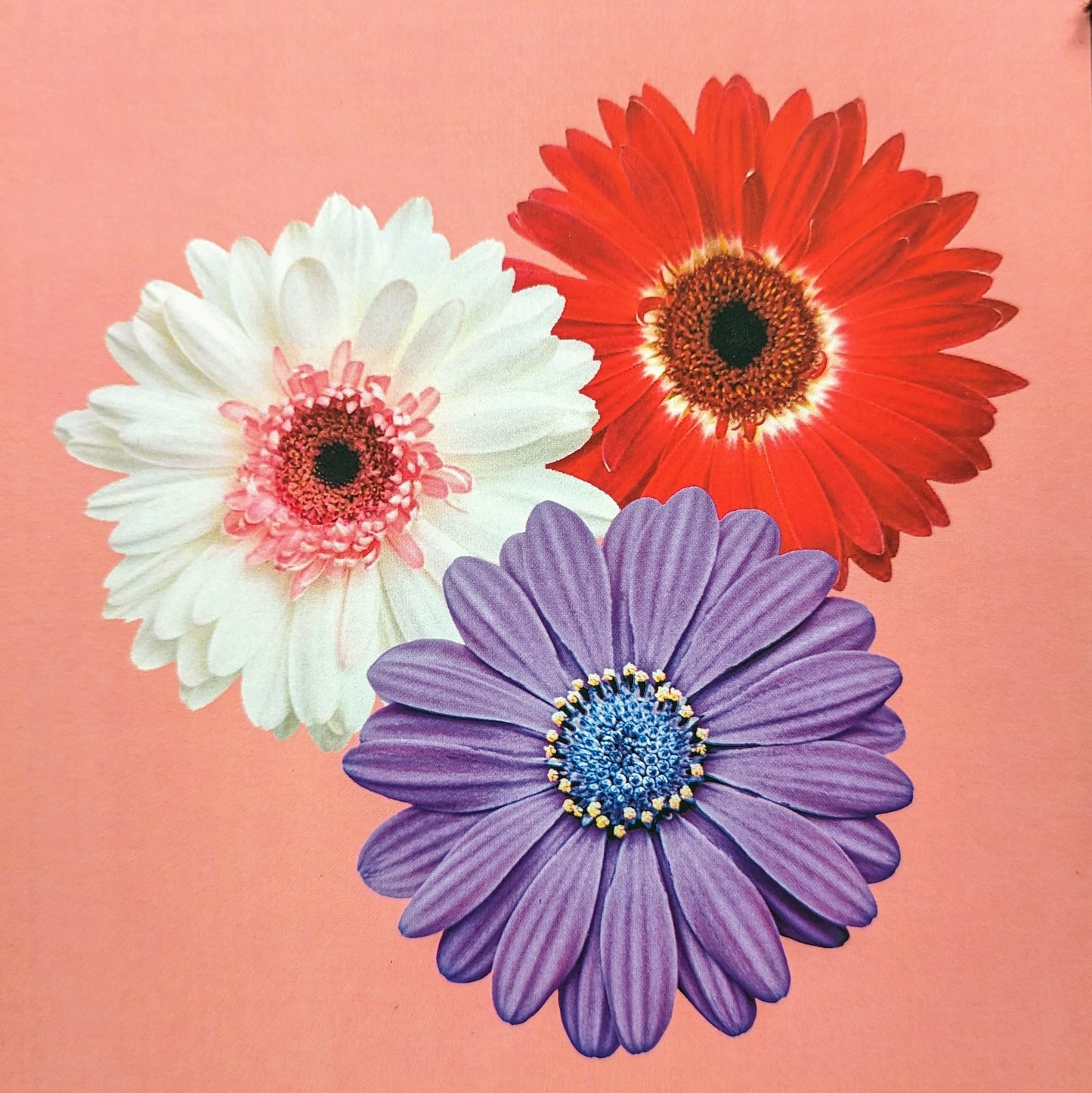 Journal | A Little Notebook