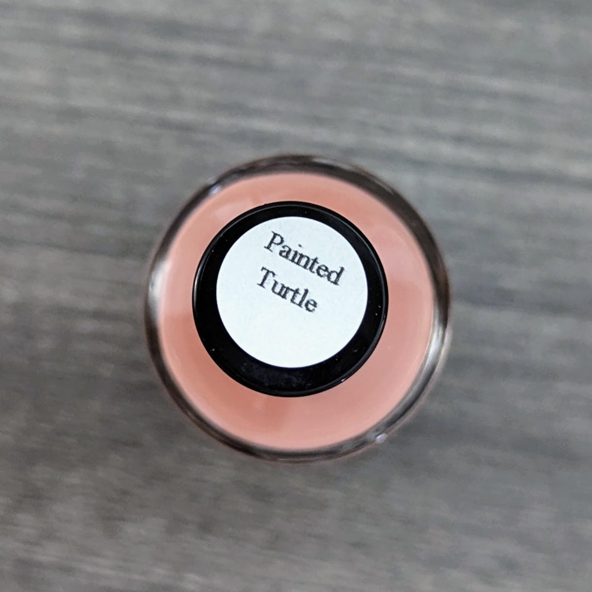 Nails | Painted Turtle, Seasonal Nail Polish