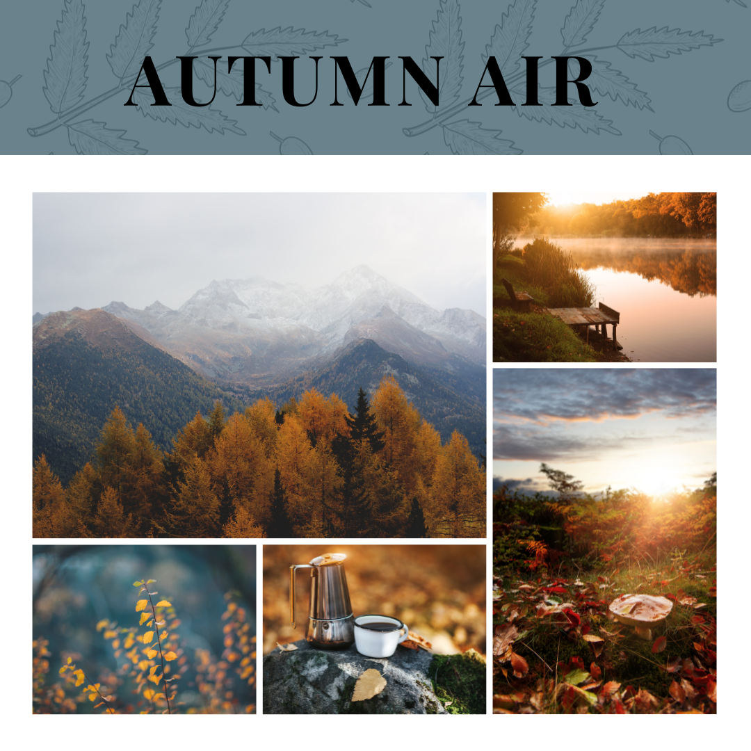 Essential Oil | Autumn Air Seasonal Blend 10 mL
