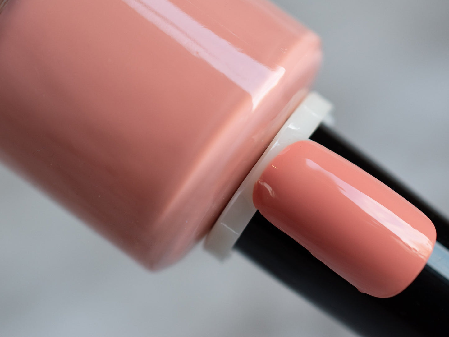 Nails | Painted Turtle, Seasonal Nail Polish