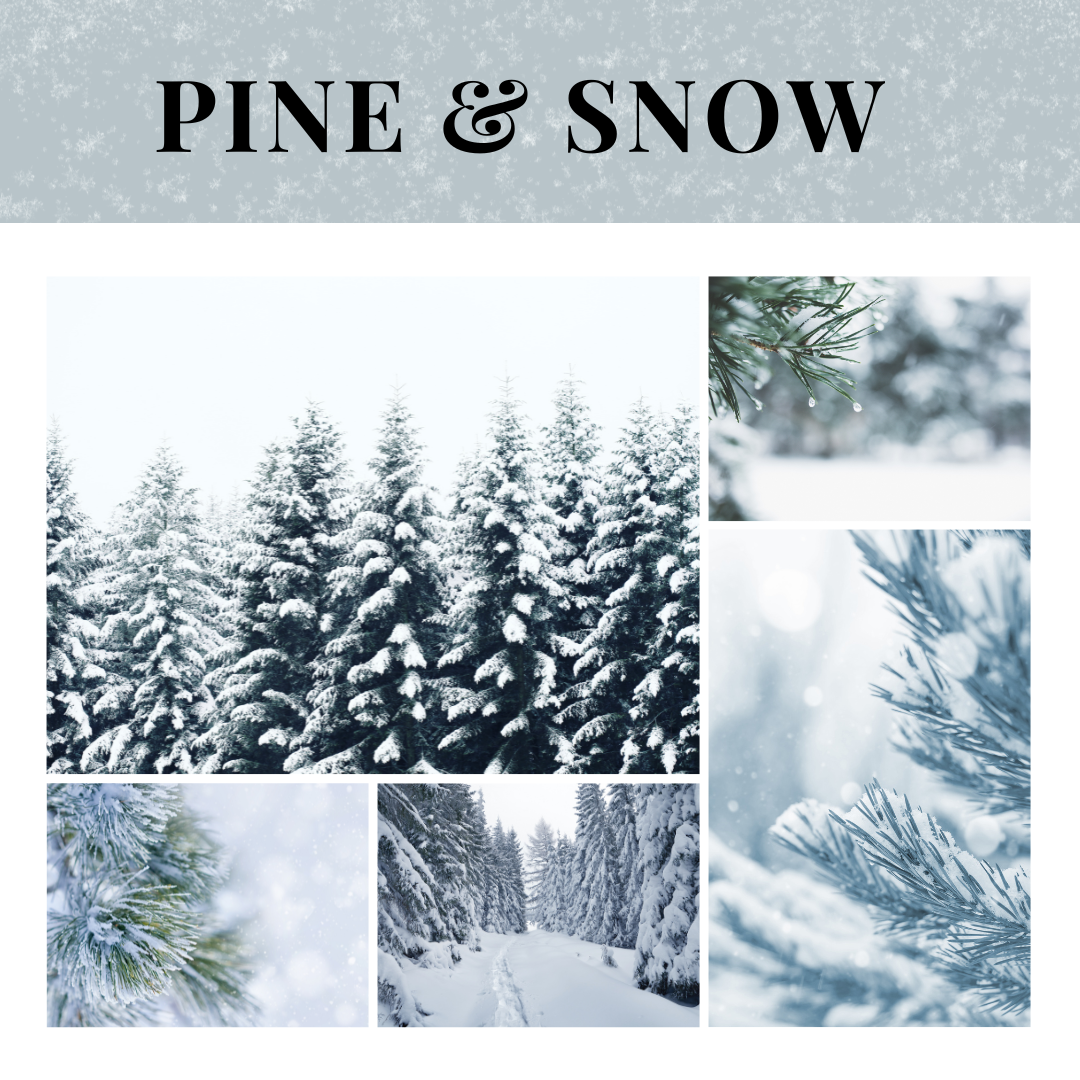 Essential Oil | Pine & Snow Seasonal Blend 10 mL